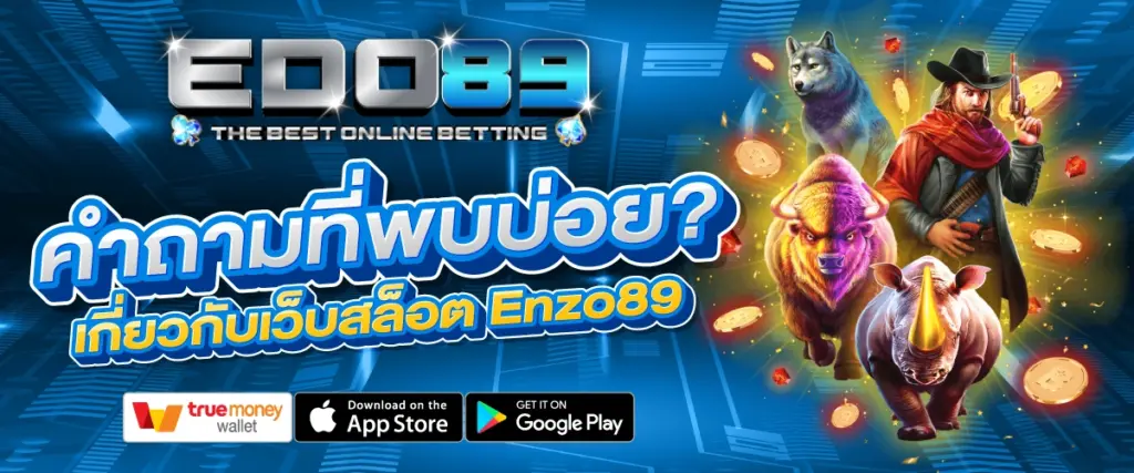 คำถามที่พบบ่อยเกี่ยวกับ enzo89​